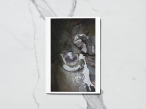 https://www.marylgenc.fr/files/dimgs/thumb_2x300_19_18_389.png